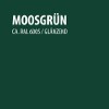 moosgrün (ca. RAL6005)